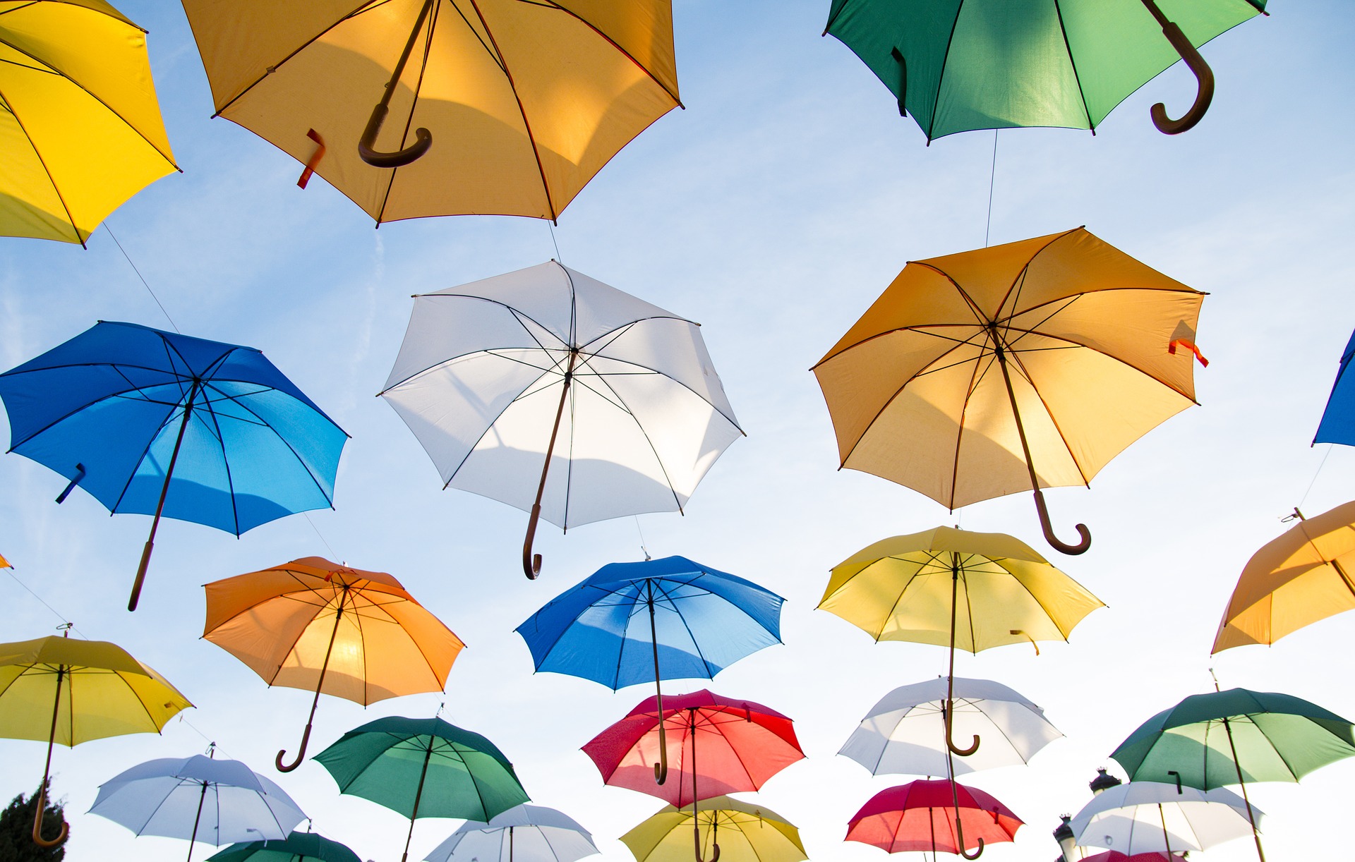 Mentaltraining in Graz & Umgebung bei Mental Success